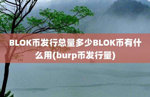 BLOK币发行总量多少BLOK币有什么用(burp币发行量)