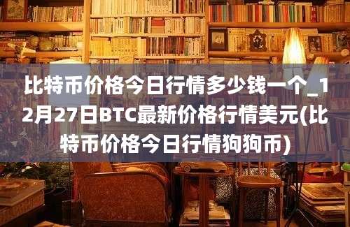 比特币价格今日行情多少钱一个_12月27日BTC最新价格行情美元(比特币价格今日行情狗狗币)