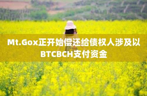 Mt.Gox正开始偿还给债权人涉及以BTCBCH支付资金