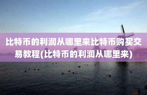 比特币的利润从哪里来比特币购买交易教程(比特币的利润从哪里来)