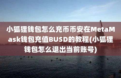 小狐狸钱包怎么充币币安在MetaMask钱包充值BUSD的教程(小狐狸钱包怎么退出当前账号)