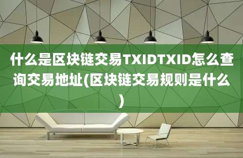 什么是区块链交易TXIDTXID怎么查询交易地址(区块链交易规则是什么)