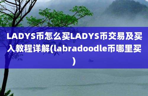 LADYS币怎么买LADYS币交易及买入教程详解(labradoodle币哪里买)