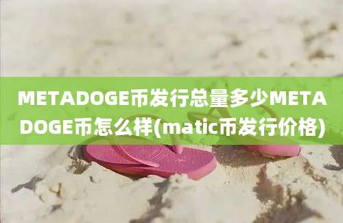 METADOGE币发行总量多少METADOGE币怎么样(matic币发行价格)