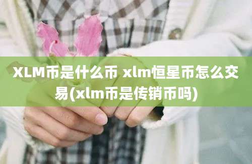 XLM币是什么币 xlm恒星币怎么交易(xlm币是传销币吗)