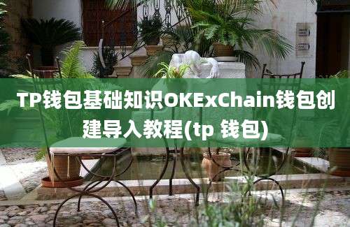 TP钱包基础知识OKExChain钱包创建导入教程(tp 钱包)