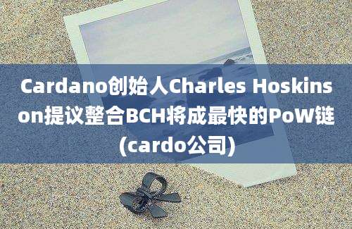 Cardano创始人Charles Hoskinson提议整合BCH将成最快的PoW链(cardo公司)