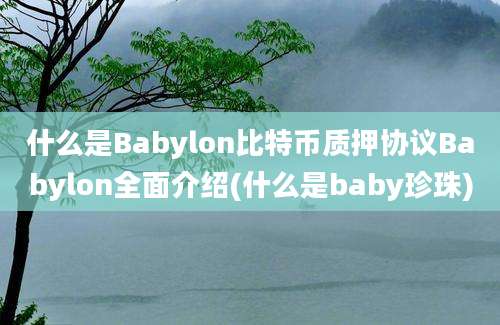 什么是Babylon比特币质押协议Babylon全面介绍(什么是baby珍珠)