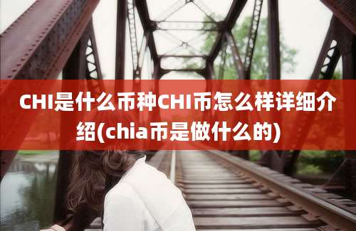 CHI是什么币种CHI币怎么样详细介绍(chia币是做什么的)