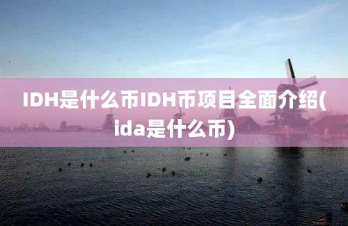 IDH是什么币IDH币项目全面介绍(ida是什么币)