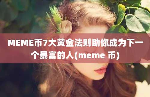 MEME币7大黄金法则助你成为下一个暴富的人(meme 币)