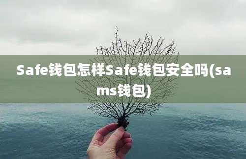 Safe钱包怎样Safe钱包安全吗(sams钱包)