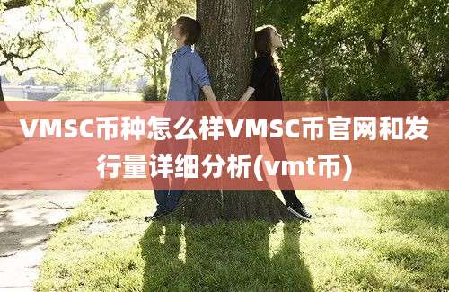 VMSC币种怎么样VMSC币官网和发行量详细分析(vmt币)