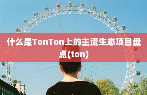 什么是TonTon上的主流生态项目盘点(ton)