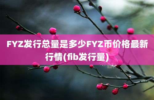 FYZ发行总量是多少FYZ币价格最新行情(fib发行量)