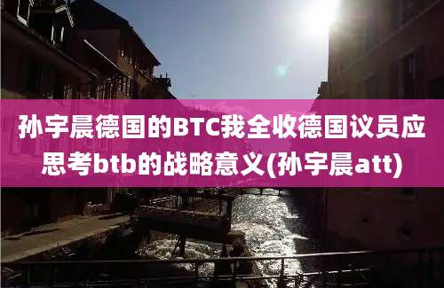 孙宇晨德国的BTC我全收德国议员应思考btb的战略意义(孙宇晨att)