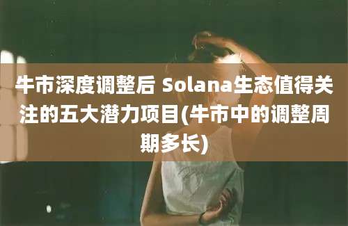 牛市深度调整后 Solana生态值得关注的五大潜力项目(牛市中的调整周期多长)