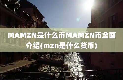 MAMZN是什么币MAMZN币全面介绍(mzn是什么货币)