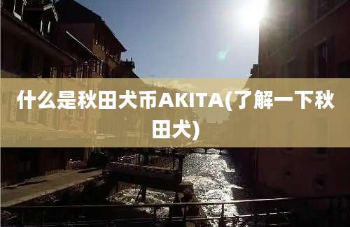 什么是秋田犬币AKITA(了解一下秋田犬)