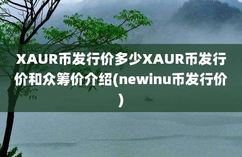 XAUR币发行价多少XAUR币发行价和众筹价介绍(newinu币发行价)