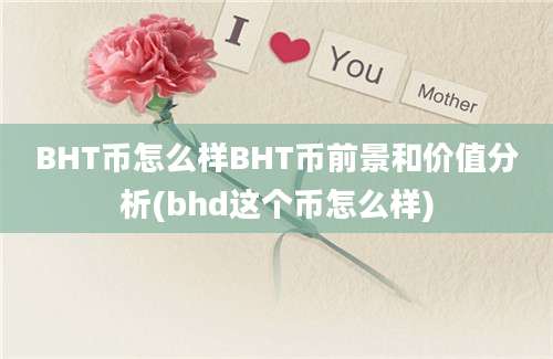 BHT币怎么样BHT币前景和价值分析(bhd这个币怎么样)