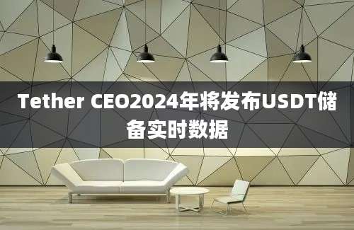 Tether CEO2024年将发布USDT储备实时数据