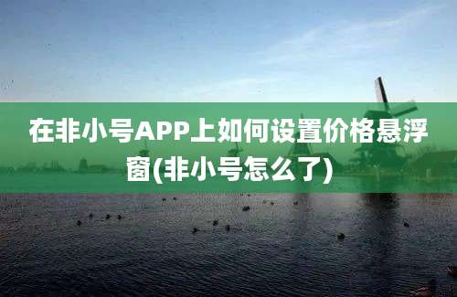 在非小号APP上如何设置价格悬浮窗(非小号怎么了)