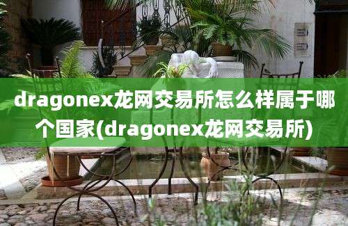 dragonex龙网交易所怎么样属于哪个国家(dragonex龙网交易所)