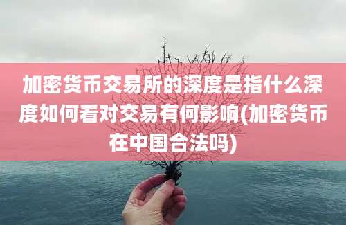 加密货币交易所的深度是指什么深度如何看对交易有何影响(加密货币在中国合法吗)