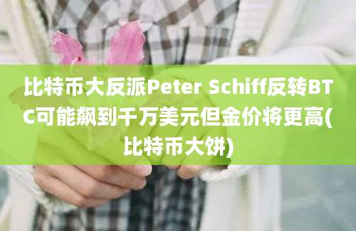 比特币大反派Peter Schiff反转BTC可能飙到千万美元但金价将更高(比特币大饼)