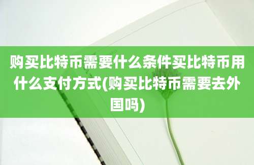 购买比特币需要什么条件买比特币用什么支付方式(购买比特币需要去外国吗)