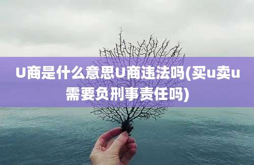 U商是什么意思U商违法吗(买u卖u需要负刑事责任吗)