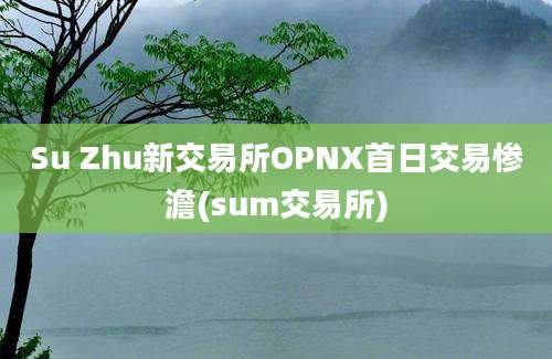 Su Zhu新交易所OPNX首日交易惨澹(sum交易所)