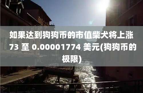 如果达到狗狗币的市值柴犬将上涨 73 至 0.00001774 美元(狗狗币的极限)