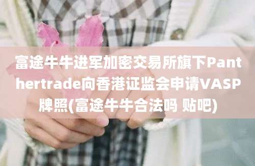 富途牛牛进军加密交易所旗下Panthertrade向香港证监会申请VASP牌照(富途牛牛合法吗 贴吧)