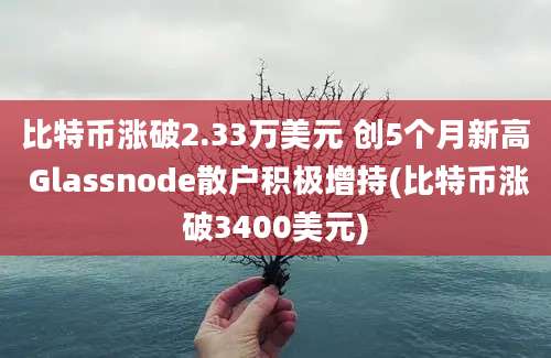 比特币涨破2.33万美元 创5个月新高 Glassnode散户积极增持(比特币涨破3400美元)