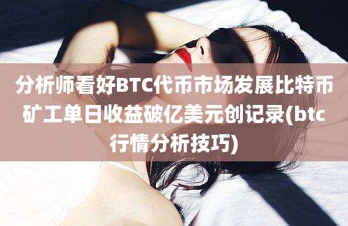 分析师看好BTC代币市场发展比特币矿工单日收益破亿美元创记录(btc行情分析技巧)