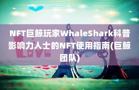 NFT巨鲸玩家WhaleShark科普影响力人士的NFT使用指南(巨鲸团队)