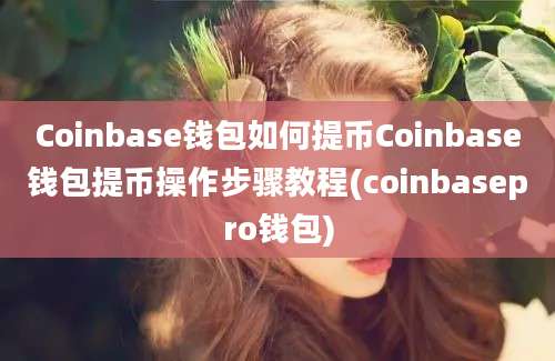 Coinbase钱包如何提币Coinbase钱包提币操作步骤教程(coinbasepro钱包)