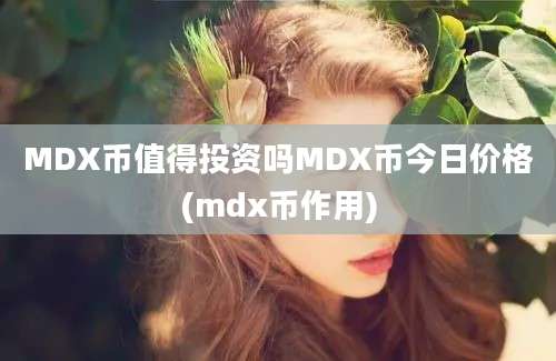 MDX币值得投资吗MDX币今日价格(mdx币作用)