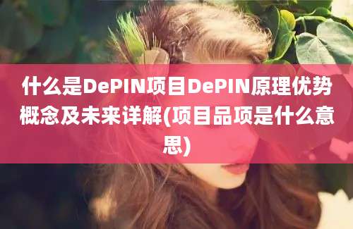 什么是DePIN项目DePIN原理优势概念及未来详解(项目品项是什么意思)