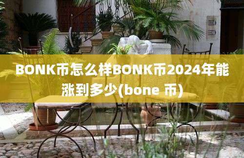 BONK币怎么样BONK币2024年能涨到多少(bone 币)