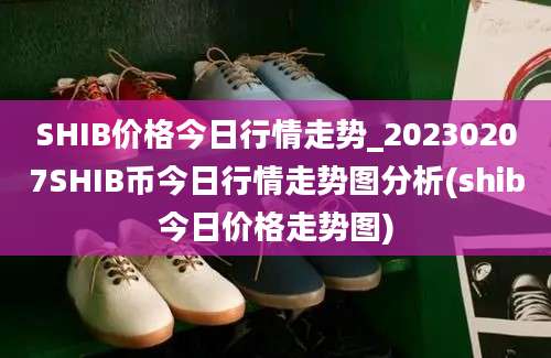 SHIB价格今日行情走势_20230207SHIB币今日行情走势图分析(shib今日价格走势图)