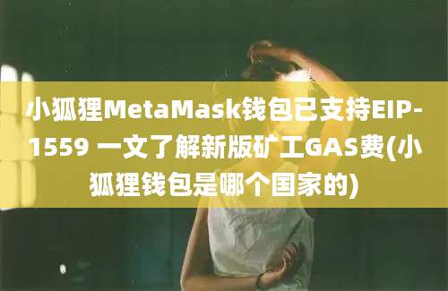 小狐狸MetaMask钱包已支持EIP-1559 一文了解新版矿工GAS费(小狐狸钱包是哪个国家的)