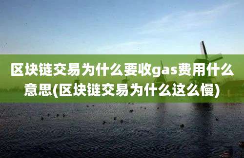 区块链交易为什么要收gas费用什么意思(区块链交易为什么这么慢)