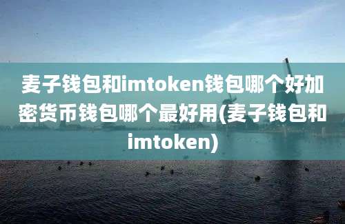 麦子钱包和imtoken钱包哪个好加密货币钱包哪个最好用(麦子钱包和imtoken)