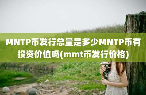 MNTP币发行总量是多少MNTP币有投资价值吗(mmt币发行价格)