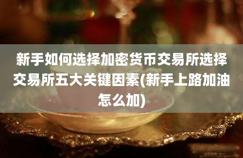 新手如何选择加密货币交易所选择交易所五大关键因素(新手上路加油怎么加)