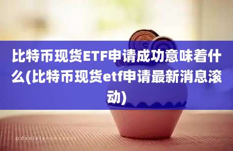 比特币现货ETF申请成功意味着什么(比特币现货etf申请最新消息滚动)