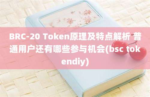 BRC-20 Token原理及特点解析 普通用户还有哪些参与机会(bsc tokendiy)